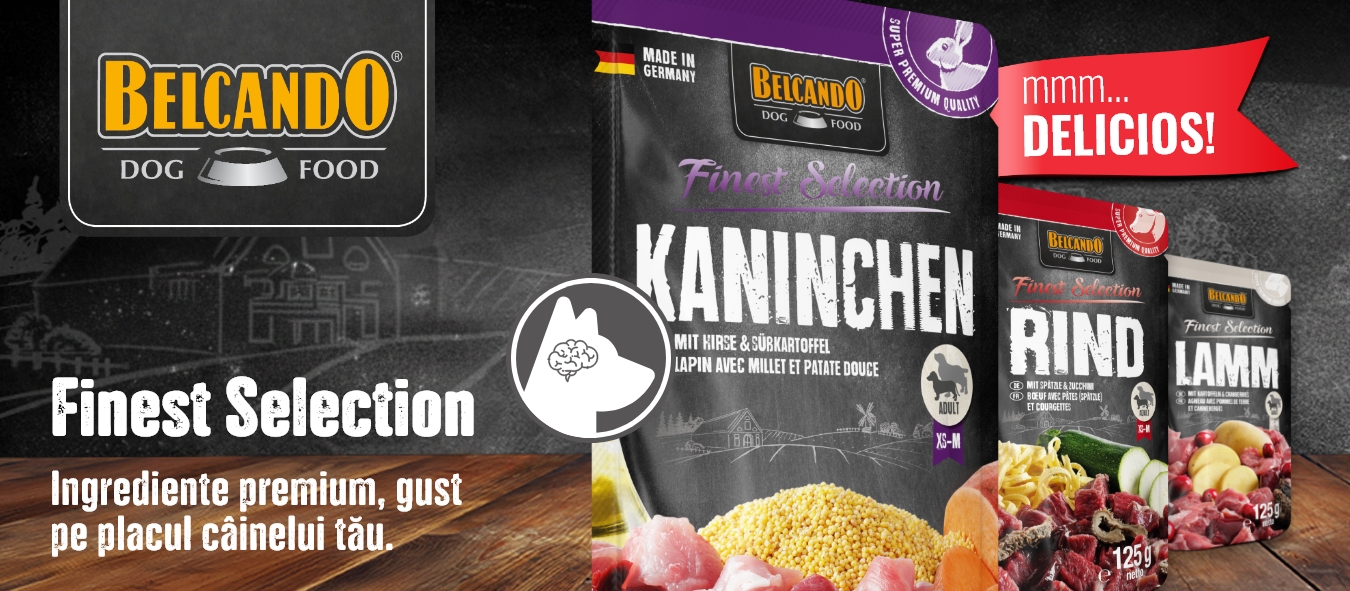 Описание изображения